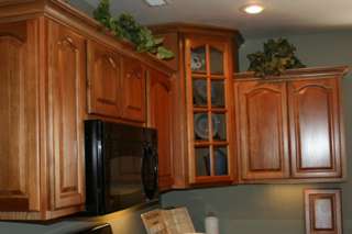 Hickory Walnut 10 x 10 RTA Kitchen Cabinet Furniture  