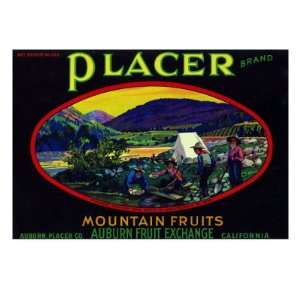   Mountain Fruits Brand Appel Label Giclee Poster Print