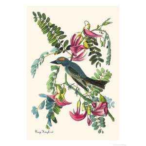   Giclee Poster Print by John James Audubon, 24x32