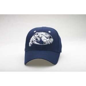 Penn State Nittany Lions DHS Logo Lion Exact Fit  Sports 