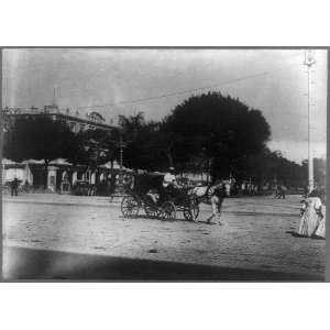  ,streets,horse drawn carriage,tavern,Havana,Cuba,1890