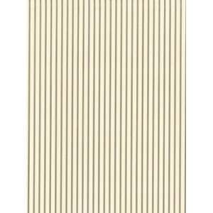   Wallpaper Steves Color Collection   Beige BC1584083