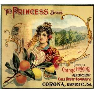  Corona, Riverside County The Princess Orange Citrus Fruit 