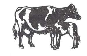 Holstein and calf Cow Decals  