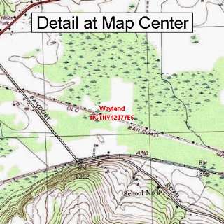  USGS Topographic Quadrangle Map   Wayland, New York 