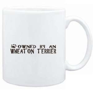 Mug White  OWNED BY Wheaton Terrier  Dogs Sports 