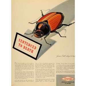   Japanese Beetle   Original Print Ad 