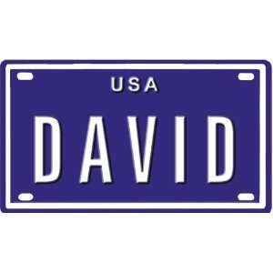   David USA 2 1/4 X 4 Embossed Aluminum License Plate Toys & Games