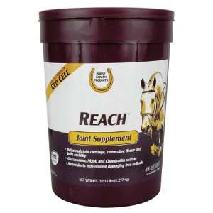  Horse Health Reach Joint Supplement 2.815 lbs Pet 