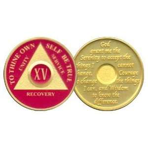   Anniversary Recovery Medallion / Coin / Chip   Red 