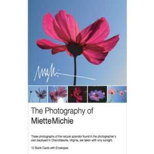  Miette Photo Note Cards   Cosmos Case Pack 6 Everything 