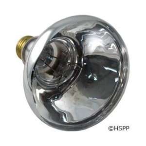  Bulb 100W 12V Am 79101800 Patio, Lawn & Garden