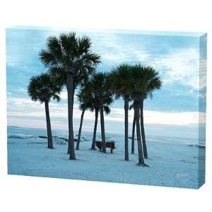  Menaul Fine Art PHO 014 Beach Trees Limited Edition Canvas 