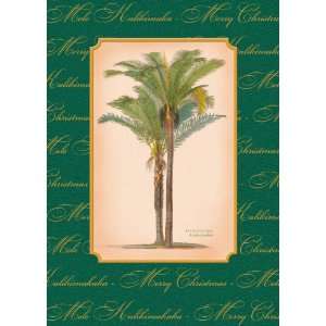   Christmas Palm by Walter Fitch   Seasons Aloha Mele Kalikimaka Home