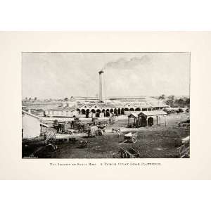  1896 Print Ingenio Santa Rosa Sugar Plantation Cuba 