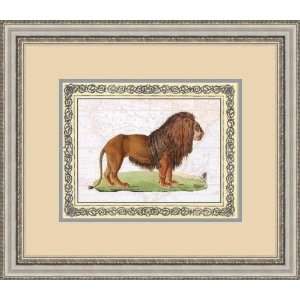 Antique Animals/Lion by Anonymous   Framed Artwork 