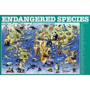  Animals Posters Endangered   Species   23.8x35.7