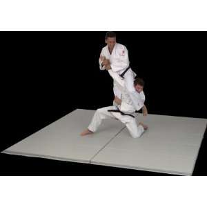 Mancino Series 400 6 x 12 Martial Arts Mat Sports 