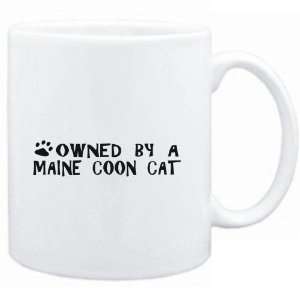    Mug White  OWNED BY a Maine Coon  Cats