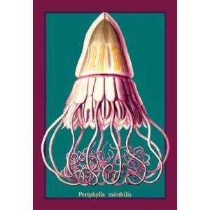  Jellyfish Periphylla Mirabilis #2 12x18 Giclee on canvas 