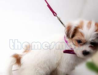 Shining Adjustable Dog Puppy Collar Lead Harness Leash  