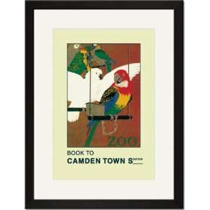   /Matted Print 17x23, The London Zoo Exotic Birds
