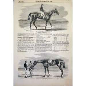   Race Horse Derby Iris Oaks Races Horses 1851