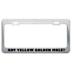 Got Yellow Golden Mole? Animals Pets Metal License Plate Frame Holder 