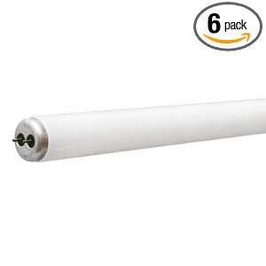  GE 80046 GE Cool White 24 Fluorescent Tubes, 20 watts, 6 Tubes 