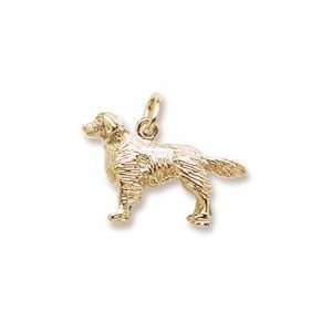  Rembrandt Charms Golden Retriever Dog Charm, 14K Yellow 
