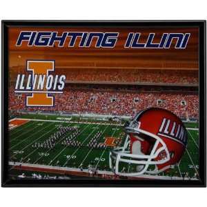   Fighting Illini 8 x 10 Stadium Framed Photograph