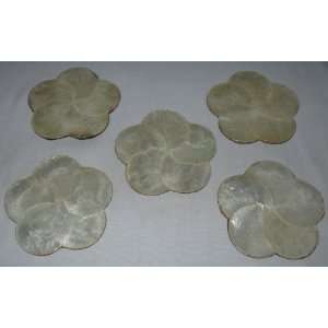  Set of 5 Abalone Flower Petal Coasters 
