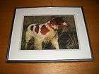 Framed Brittany Spaniel dog picture