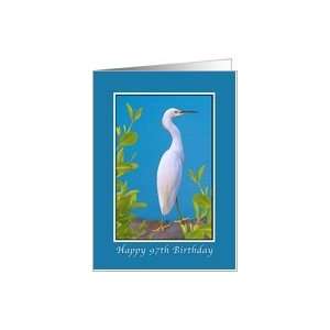  Birthday, 97th, Snowy Egret Bird Card Toys & Games