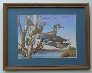 Woodducks Duck Art Wildlife Framed Country Pictures  