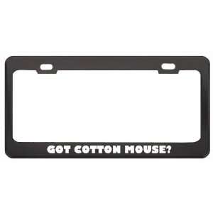 Got Cotton Mouse? Animals Pets Black Metal License Plate Frame Holder 