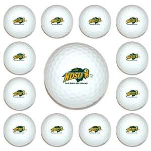  North Dakota State Bison Team Logo Golf Ball Dozen Pack 