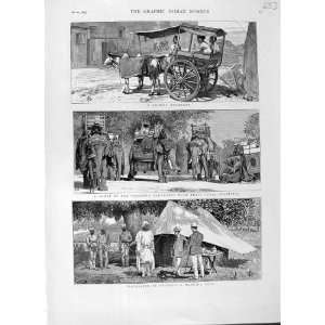  1875 INDIA BOMBAY HACKERRY VICEROYS ELEPHANTS CAMP