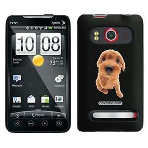 Poodle Puppy on HTC Evo 4G Case  Players & Accessories