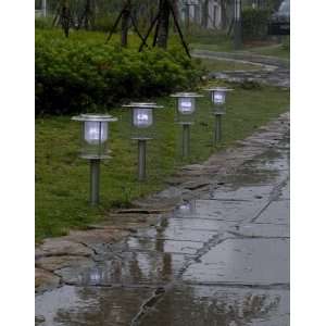  Stainless Steel Executive Series Solar Path Light