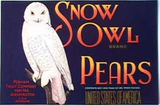 Snow Owl   Blue Pear Crate Label Yakima, WA  