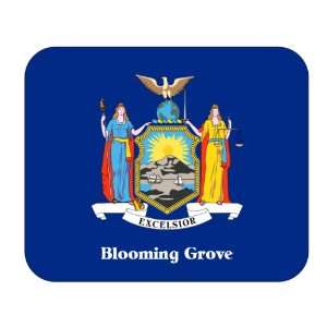  US State Flag   Blooming Grove, New York (NY) Mouse Pad 