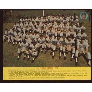    1972 Los Angeles Dodgers Team Photo   MLB Photos