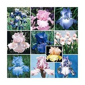 Shades of Pink & Blue Reblooming Iris Collection  Kitchen 