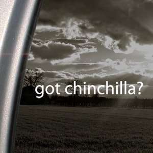  Got Chinchilla? Decal Small Animal House Pet Sticker 