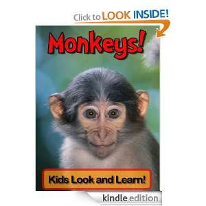 Monkeys Learn About Monkeys and Enjoy Colorful Pictures   Look and 
