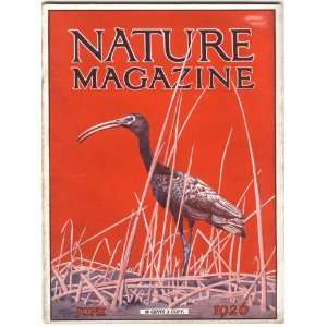 Nature Magazine June 1926 American Nature Association, D. V. England 