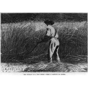  Man cutting grain with a scythe,1867