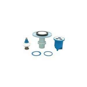   P6000 ECR WS RK Toilet/Urinal Rebuild Kit,3.5 Gal