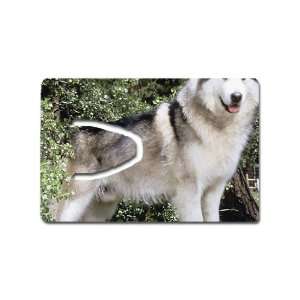  Siberian husky dog Bookmark Great Unique Gift Idea 